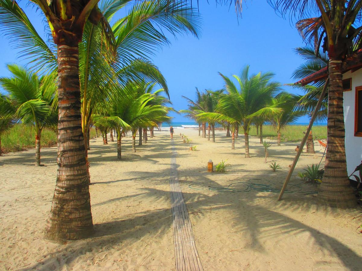 Beach Front Bungalows At The Coconut Canoa Exterior foto